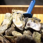 7th Annual Oyster Roast Jan 7th, 2011